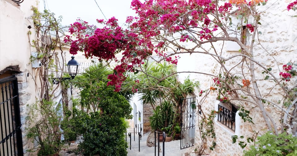 Lliber: Allicante's Hidden Gem Elopement Location — Location inspiration · Stories By DJ